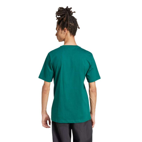 Remera Adidas Q12 Monogram Verde
