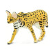 Safari - 100237 - Fauna Silvestre, Serval Safari - 100237 - Fauna Silvestre, Serval