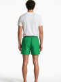 Short Terrier Menta