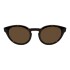 Lentes de Sol Chilli Beans Havaianas Marrón