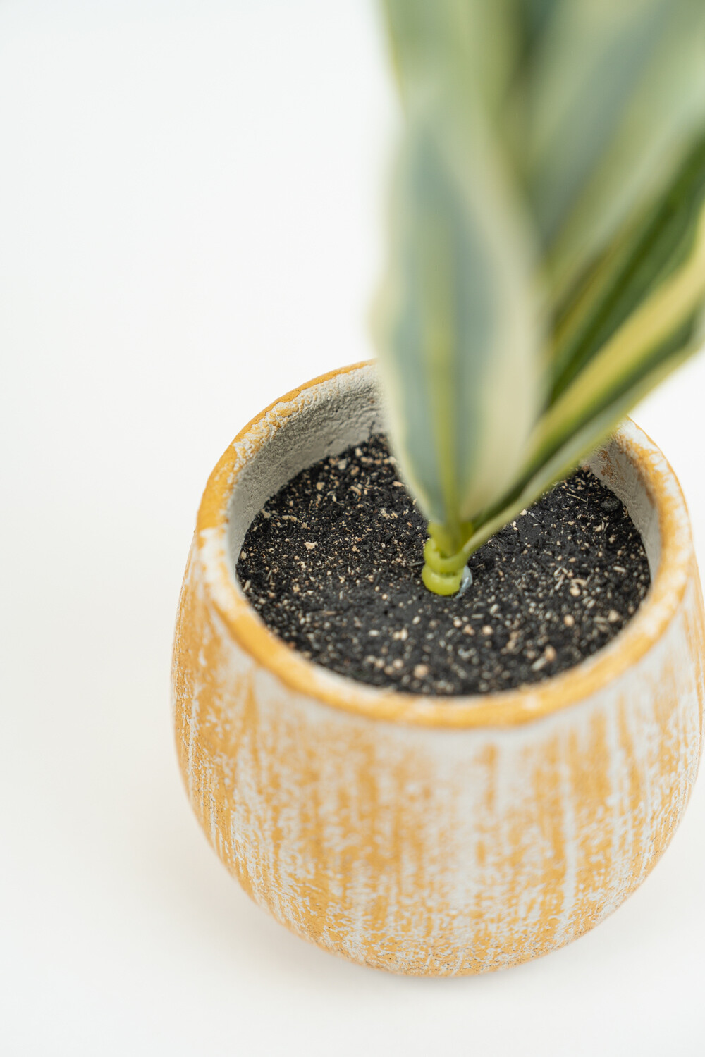 Planta Verdia Mix Color Unico