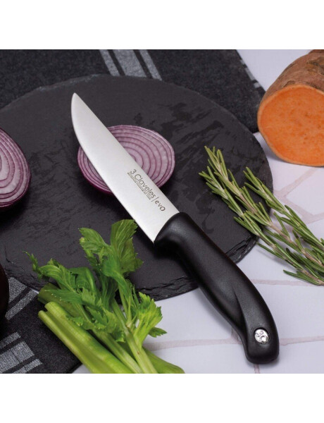 CUCHILLO COCINA 13.5CM CAJA PVC EVO 3 CLAVELES CUCHILLO COCINA 13.5CM CAJA PVC EVO 3 CLAVELES