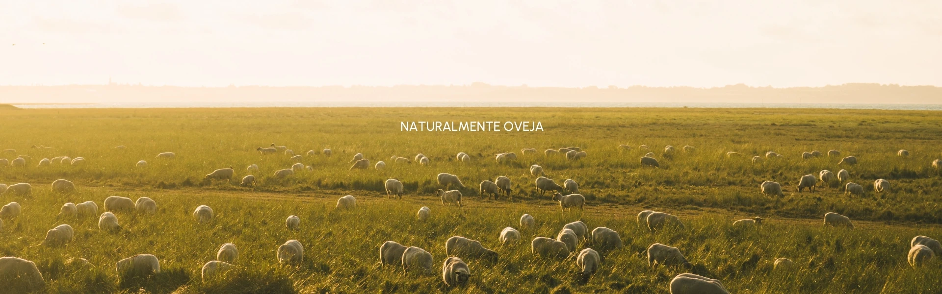 NATURALMENTE OVEJA