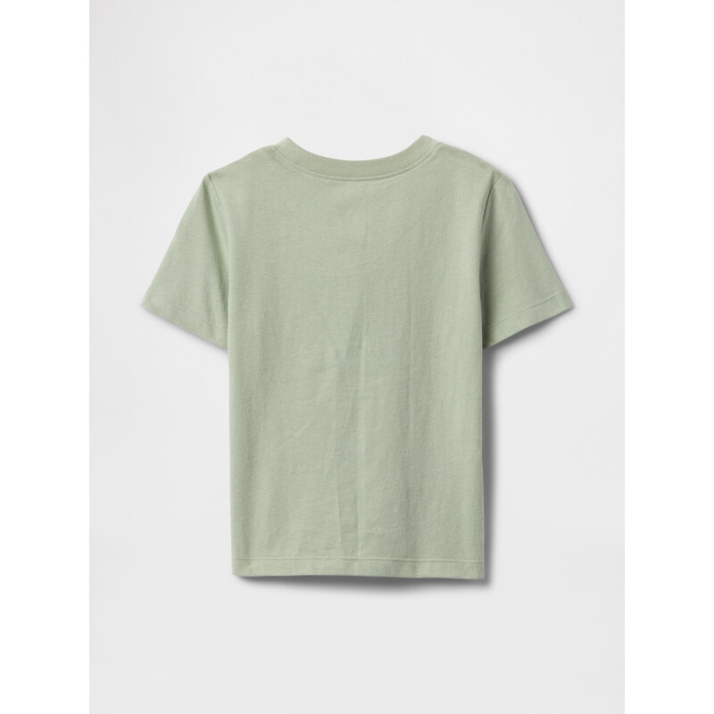 V-BF SS GR TEE DESERT SAGE