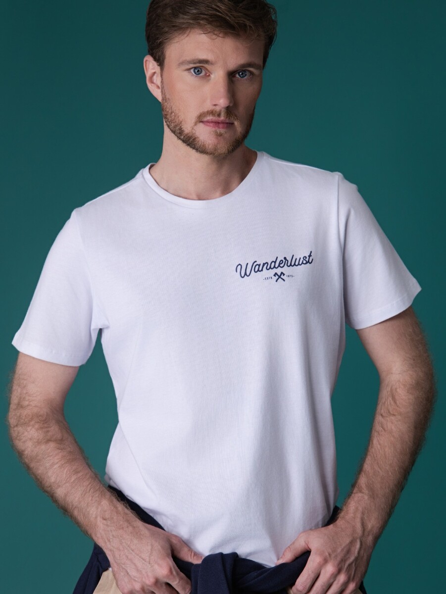 Remera Aarón . 