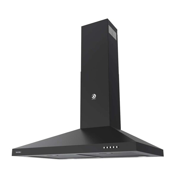 Campana De Cocina Extractor Goldtech 60cm Inoxidable Luz Variante Color Negro