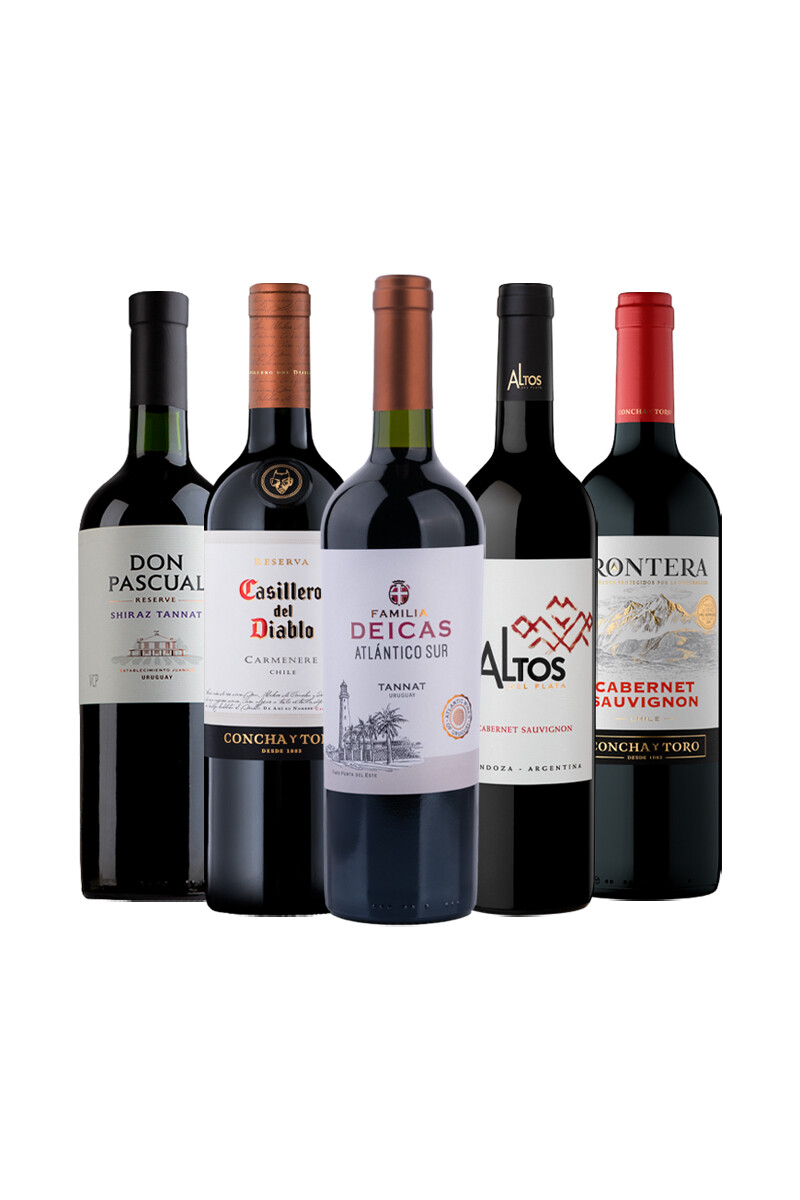 Pack Bacán Selección Vamos la Celeste x5 vinos 