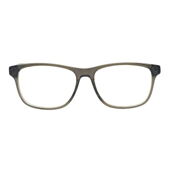 MZ121134 griscristal