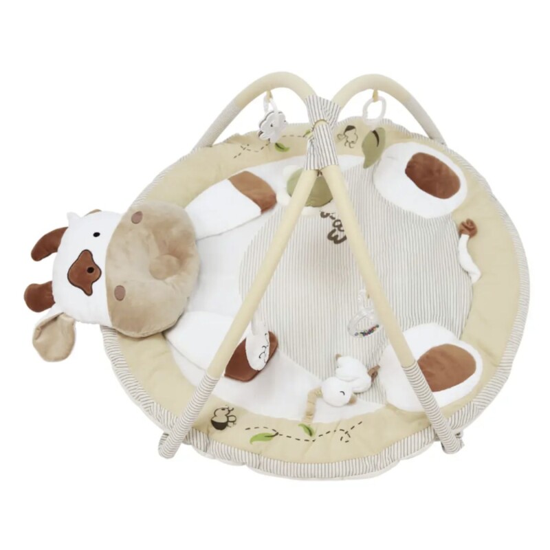 Gimnasio Infantil Didáctico Carestino Vaca Gimnasio Infantil Didáctico Carestino Vaca