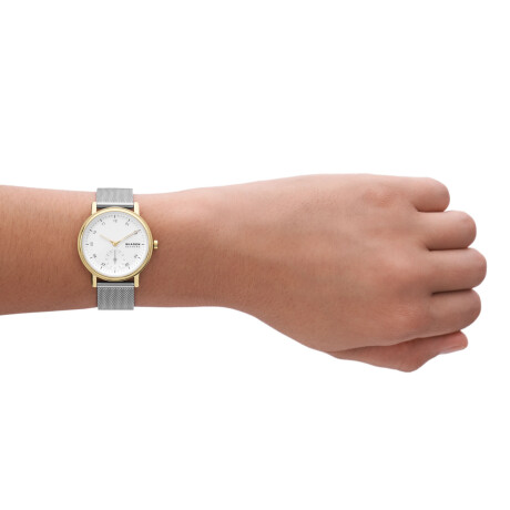 RELOJ SKAGEN FASHION ACERO PLATA 0