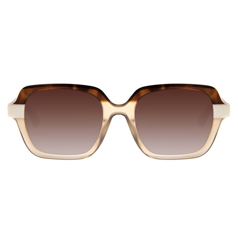 Lentes De Sol Premium Accesorios - Mujer Gradiente Marrón/marrón