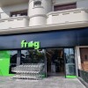 Frog 12