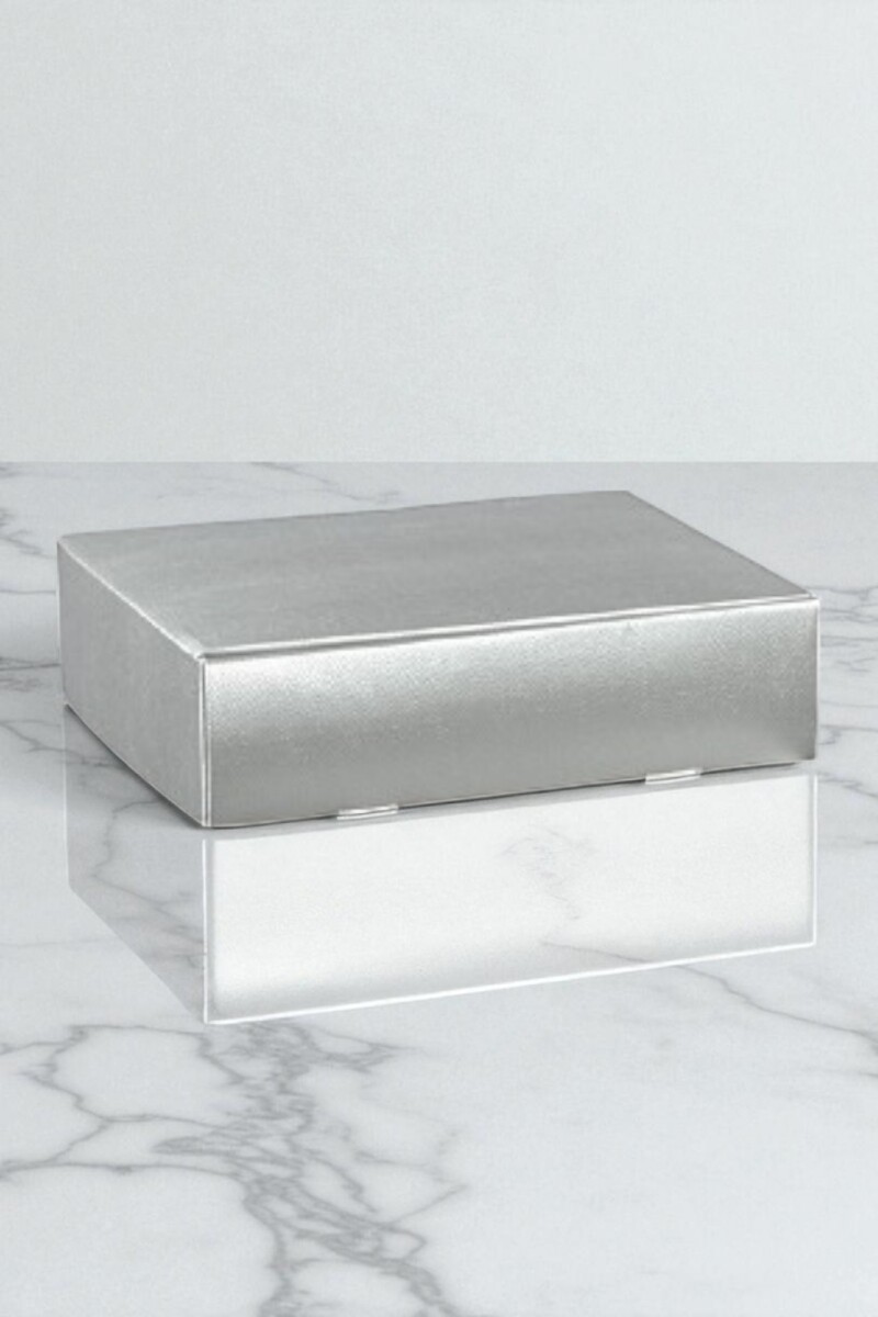 Caja rígida 3 botellas 34x28x9 - 38768 - SKIN ARGENTO 