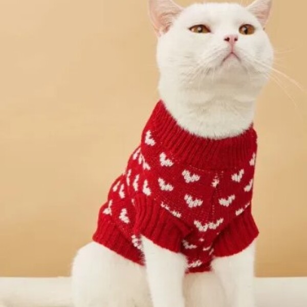 Sweater Para Gato Rojo