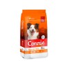 CONNIE PERRO 8K ADULTOS Connie Perro 8k Adultos