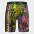 Calzoncillos PSD Aztec Fronds Multicolor
