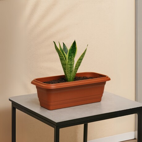 Maceta rectangular 3 lts MARRON