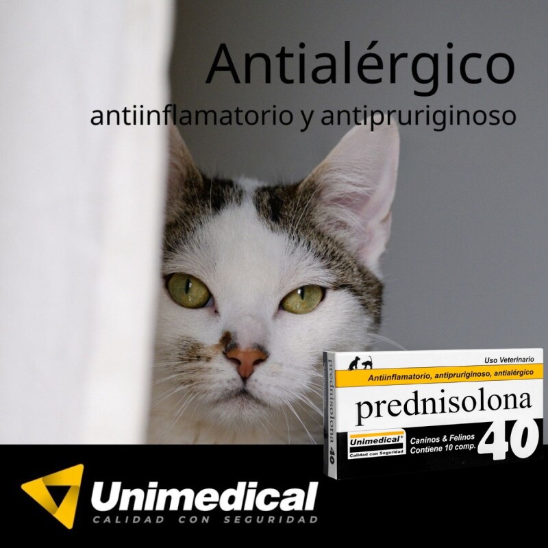PREDNISOLONA 40 MG X CAJA DE 10 COMPRIMIDOS PREDNISOLONA 40 MG X CAJA DE 10 COMPRIMIDOS