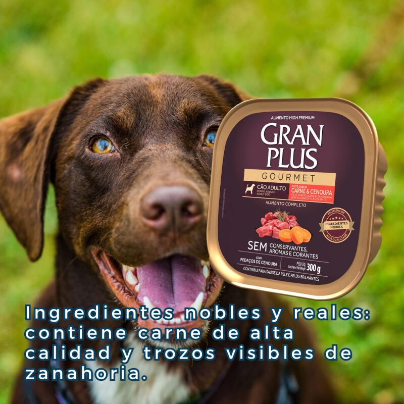 PATE GRAN PLUS PERRO ADULTO CARNE Y ZANAHORIA 300 GRS PATE GRAN PLUS PERRO ADULTO CARNE Y ZANAHORIA 300 GRS