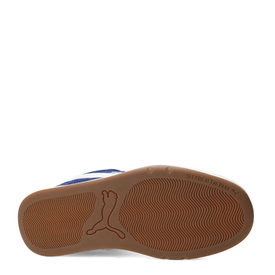 Championes de Hombre Puma Park Lifestyle Sk8 Sd Azul - Beige