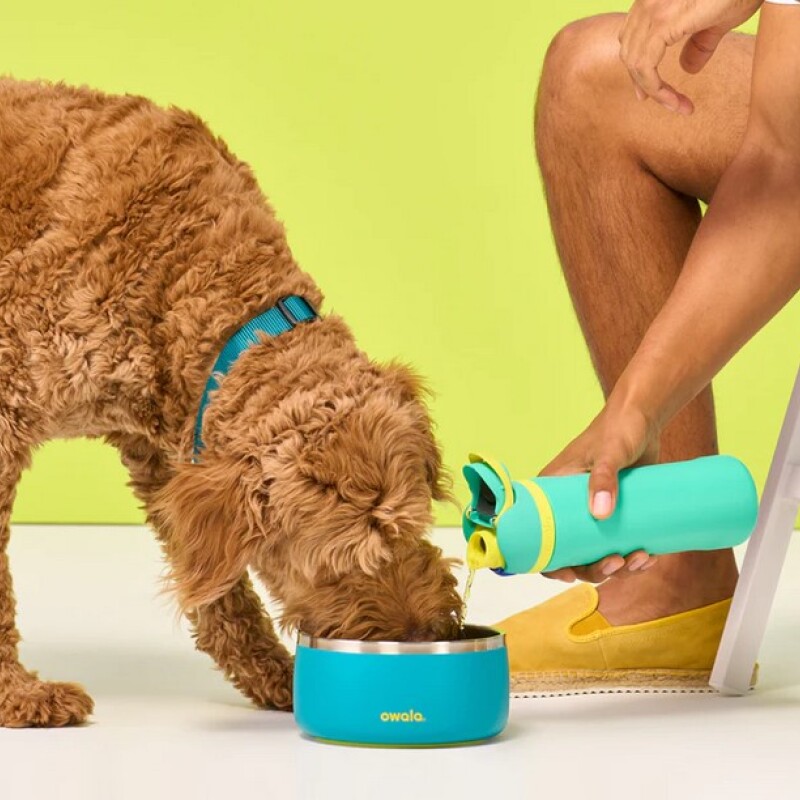 Plato comedero mascotas acero inoxidable c/ antideslizante Turquoise & Caicos
