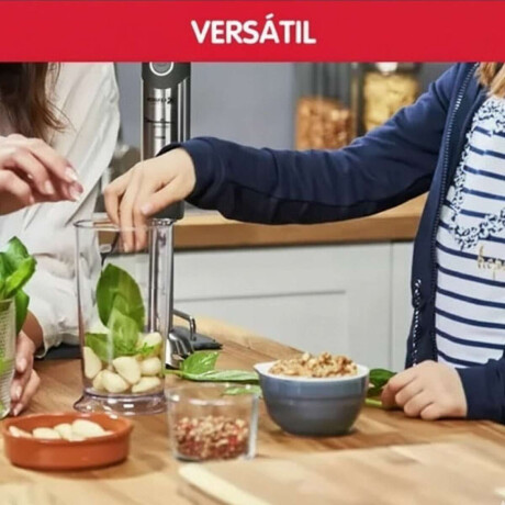 Mixer Moulinex Quickchef Inox 3 En 1 10 Velocidades 1000W