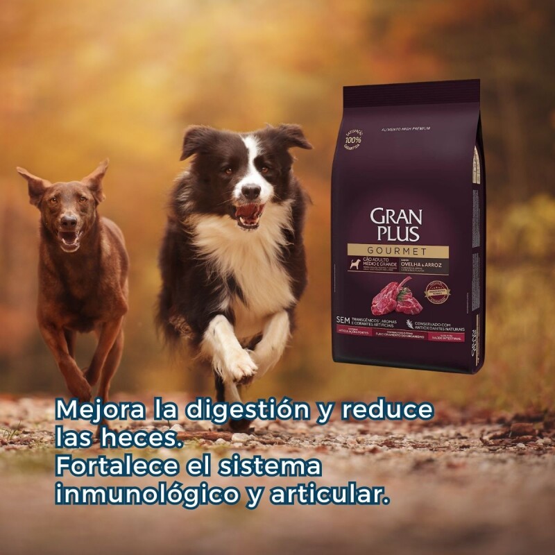 GRAN PLUS GOURMET AD. RAZA MEDIANO GRANDE CORDERO 15 KG + 1.5 KG GRATIS + REGALO GRAN PLUS GOURMET AD. RAZA MEDIANO GRANDE CORDERO 15 KG + 1.5 KG GRATIS + REGALO