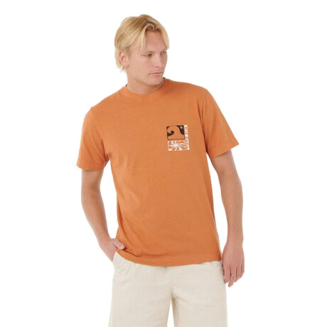 Remera Rip Curl Aots Ty Williams Coastline Tee Naranja