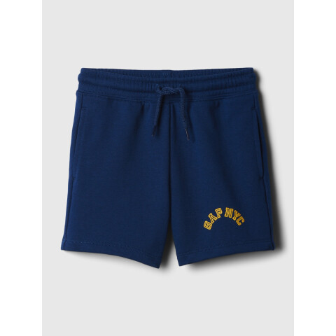INTL FASHION LOGO SHORTS PANGEA BLUE
