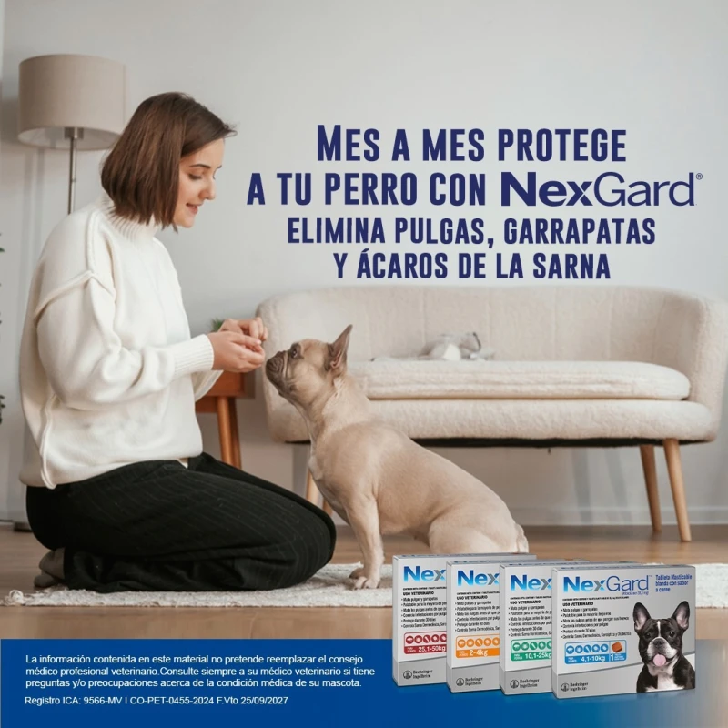 NEXGARD PASTILLA ANTIPULGAS Y GARRAPATAS X 1 COMP DE 4 A 10 KG