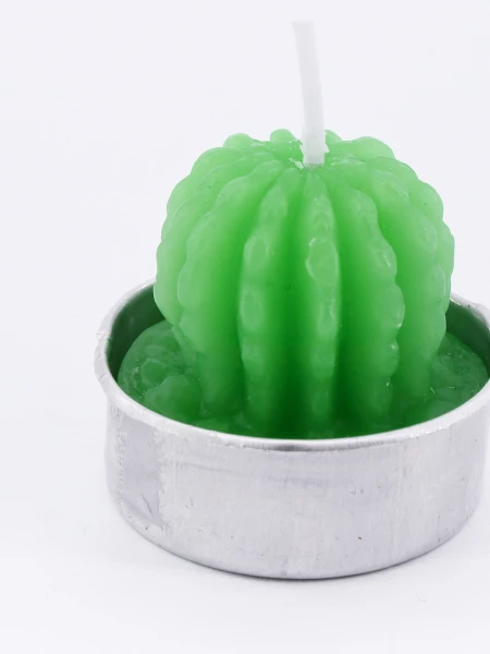 SUCULENTA VELA CACTUS VERDE