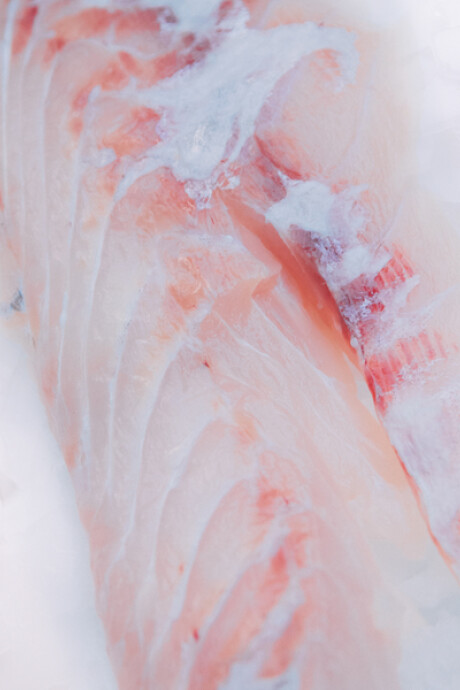 Filete de Corvina 1Kg