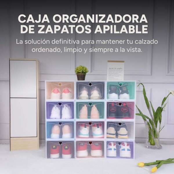 Caja Organizadora Zapatos Zapatera 24 Unidades Caja Apilable Variante Corazón Color Blanco