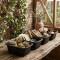 Set x4 Cesto pequeño 1,4 lts NEGRO