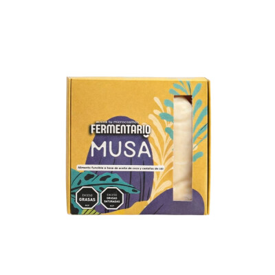 Musa Fermentario Musa Fermentario