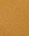 Botas Timberland Premium 6 Inch Waterproof Junior Wheat