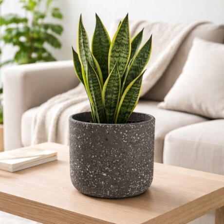 MACETA TERRACOTA Gris - Large