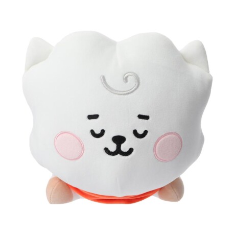 Peluche BT21 baby durmiendo Rj