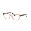 Ray Ban Rb7252l 8422