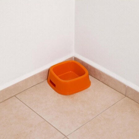 PLATO CUADRADO PARA MASCOTA 21X21X8CM PLATO CUADRADO PARA MASCOTA 21X21X8CM