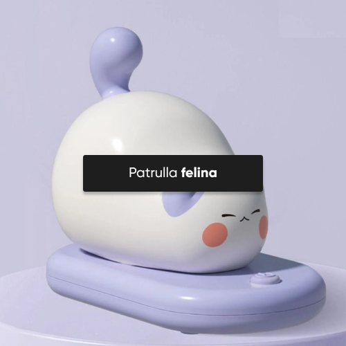 KidsTercio2 - Gatitos