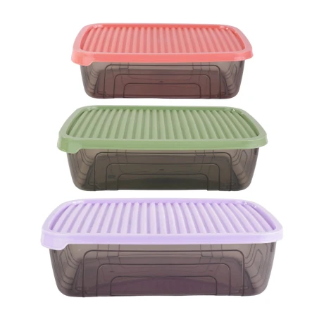 Set de 3 recipientes de plastico Herevin Set de 3 recipientes de plastico Herevin