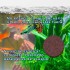 ALIMENTO VACACIONAL BLOQUE TETRA PARA PECES TROPICALES ALIMENTO VACACIONAL BLOQUE TETRA PARA PECES TROPICALES