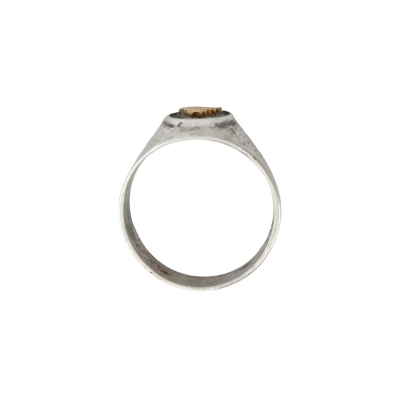 Anillo Profesión Fisioterapeuta - Plata y Oro-Sin Piedra-AP5045 ap5039