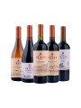Pack Bacán Selección Salón del vino x5 vinos Familia Deicas Pack Bacán Selección Salón del vino x5 vinos Familia Deicas