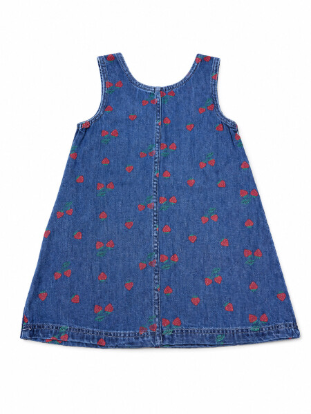 VESTIDO VENE AZUL
