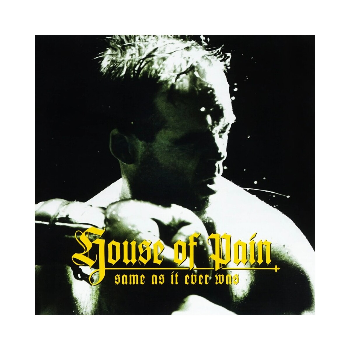 House Of Pain / Same As It Ever Was (30th Anniversary) - Vinilo 