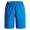 UA Tech Woven Wordmark Short-BLU BLU-402
