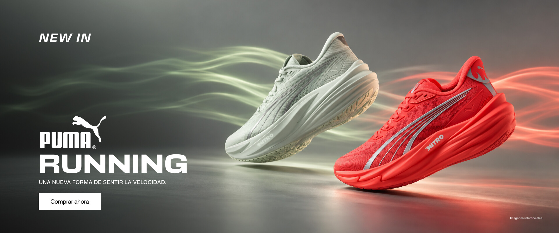 Puma