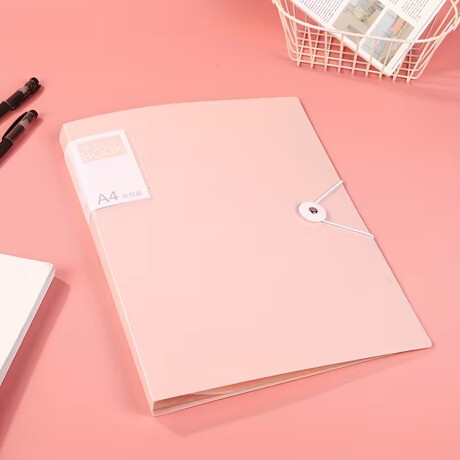 Carpeta A4 con 30 folios y elastico Rosado